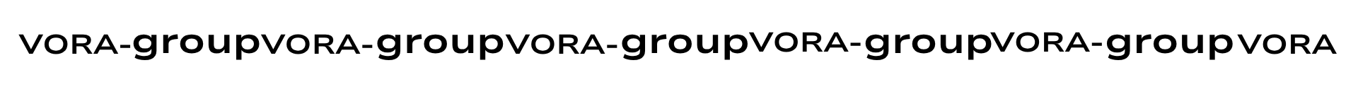 Vora-Group_Logo_Zeile Vora-Group_Logo_Zeile
